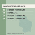 Workshops (Autumn and Winter 24/25) - Sprouts of Bristol