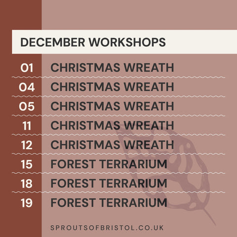 Workshops (Autumn and Winter 24/25) - Sprouts of Bristol