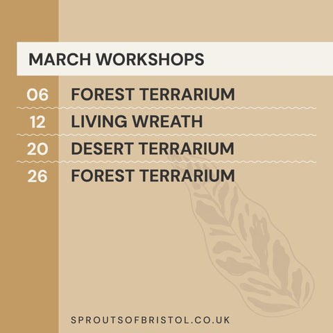 Workshops (Autumn and Winter 24/25) - Sprouts of Bristol