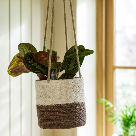 hanging planter uk Woven Hanging Plant Pot in Antique Brown