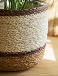 Woven Plant Pots - Multi Stripe Jute Seagrass - Sprouts of Bristol