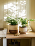 Woven Plant Pots - Multi Stripe Jute Seagrass - Sprouts of Bristol
