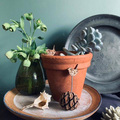 Wren Plant Pot Companions - Sprouts of Bristol