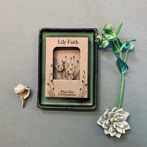 Wren Plant Pot Companions - Sprouts of Bristol