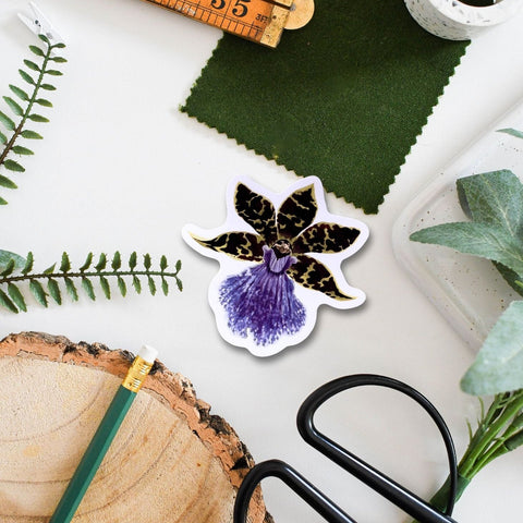 Zygopetalum Orchid Tropical Houseplant Vinyl Sticker [Beneath the Canopy RHS Collab] - Sprouts of Bristol