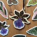 Zygopetalum Orchid Wooden Decoration [Beneath the Canopy RHS Collab] - Sprouts of Bristol