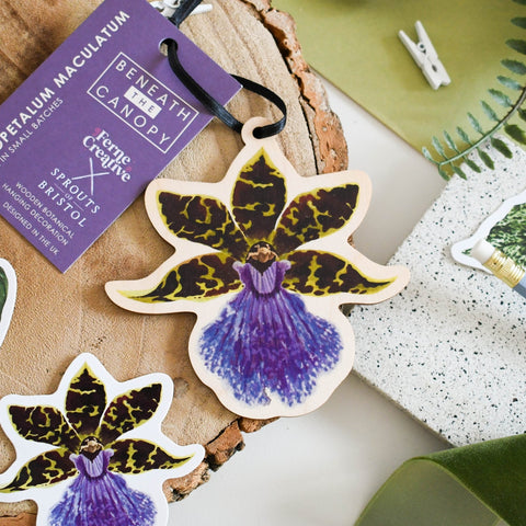 Zygopetalum Orchid Wooden Decoration [Beneath the Canopy RHS Collab] - Sprouts of Bristol