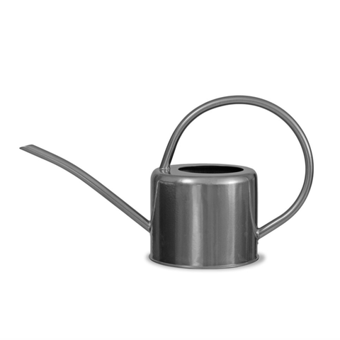 1.9L Indoor Watering Can - Silver - Sprouts of Bristol