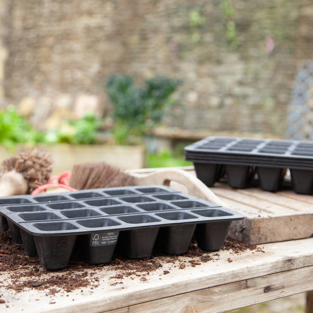 20 Cell Natural Rubber Seed Tray - Sprouts of Bristol