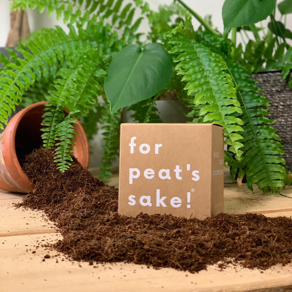3 L Peat-free Coir Compost - Sprouts of Bristol