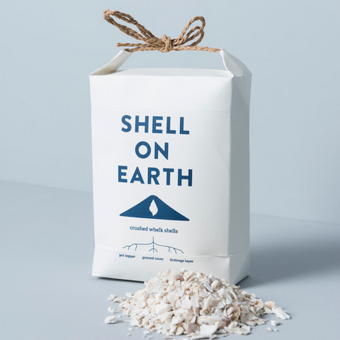 Shell on Earth - Zerkleinerte Wellhornschneckenschalen