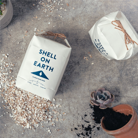 Shell on Earth - Zerkleinerte Wellhornschneckenschalen