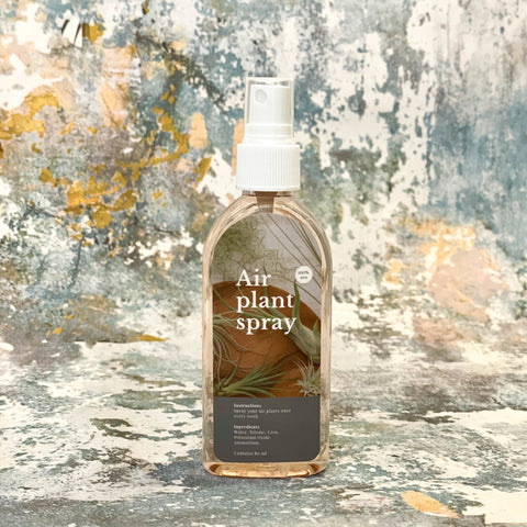 air plant spray Air Plant / Tillandsia Spray – Sprouts of Bristol