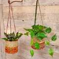 Artisan Cylindrical Hanging Plant Basket: Small - Sprouts of Bristol