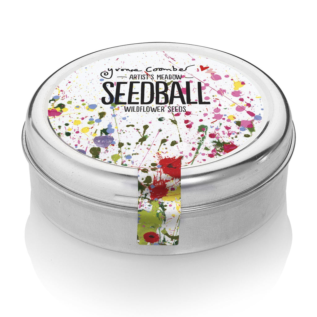 Artist Meadow Mix Seedball Tin - Sprouts of Bristol