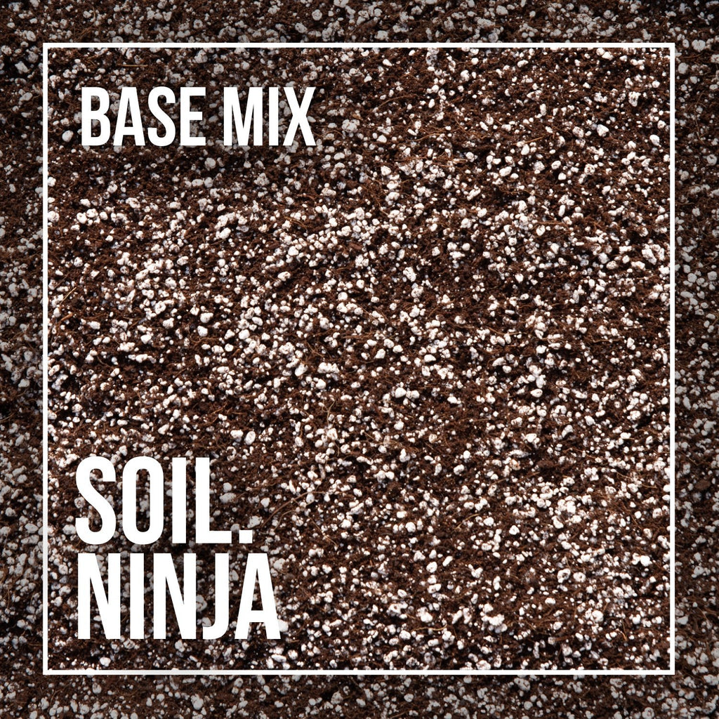Base Mix - Sprouts of Bristol