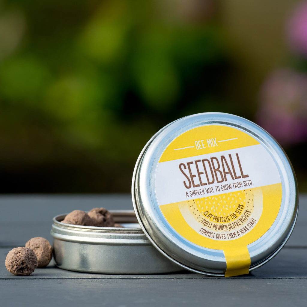 Bee Mix Seedball - Sprouts of Bristol