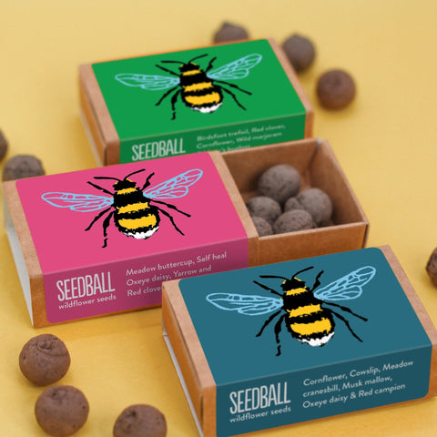 Bee Wildflower Seedball Box - Sprouts of Bristol