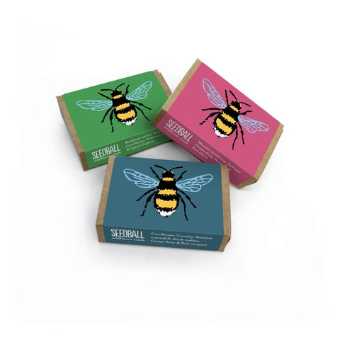 Bee Wildflower Seedball Box - Sprouts of Bristol