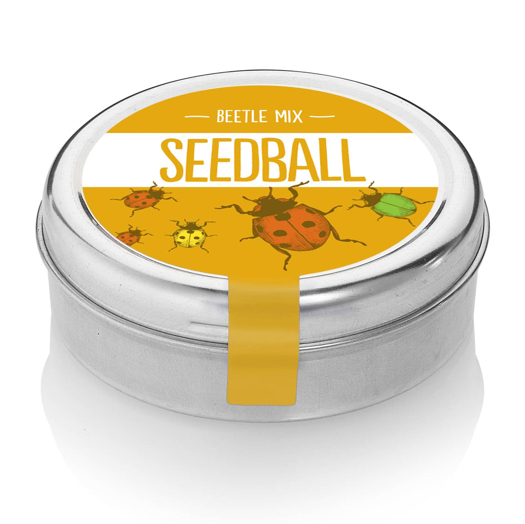 Beetle Mix Seedball Tin - Sprouts of Bristol