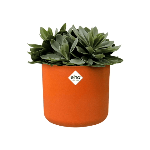 B.For Soft Round Pot - Sprouts of Bristol