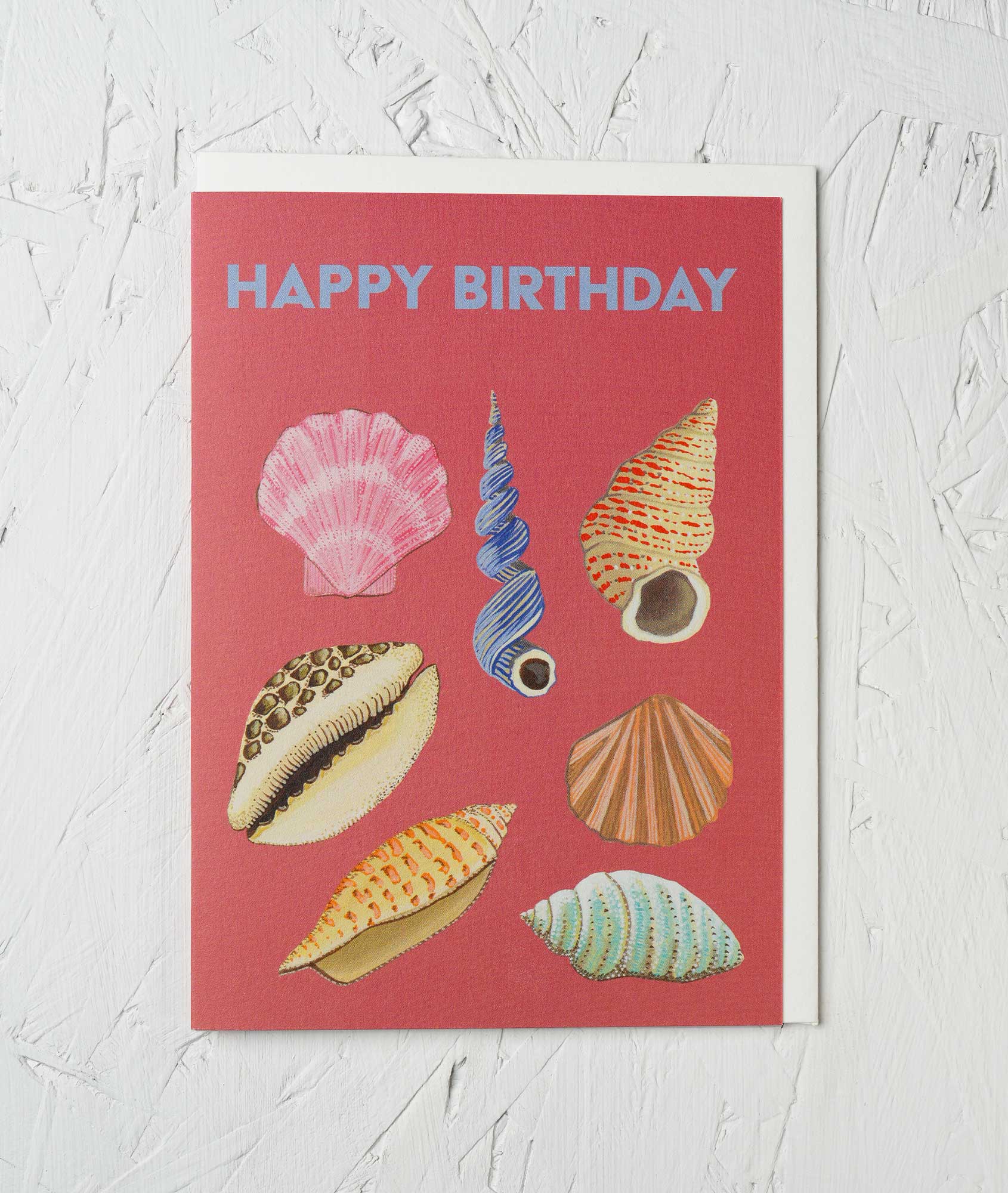 Birthday Shells Greetings Card – Sprouts of Bristol