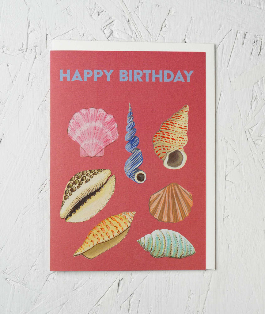 Birthday Shells Greetings Card - Sprouts of Bristol