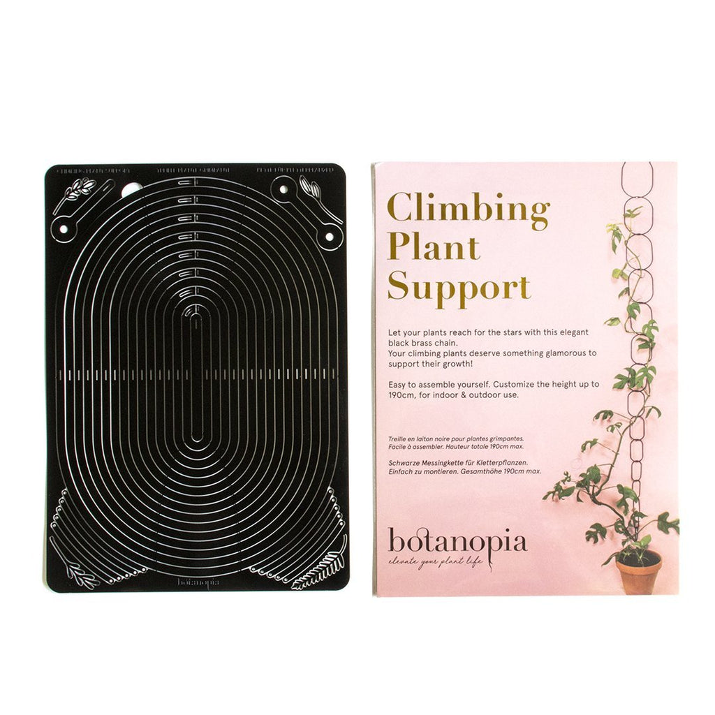 Black Support for Climbing Plants - Sprouts of Bristol