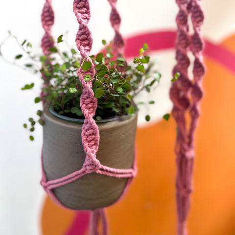 Blossom Pink Macrame Plant Hanger - Sprouts of Bristol