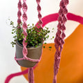Blossom Pink Macrame Plant Hanger - Sprouts of Bristol