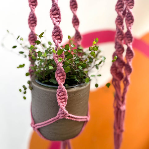 pink macrame plant hanger Blossom Pink Macrame Plant Hanger – Sprouts of Bristol