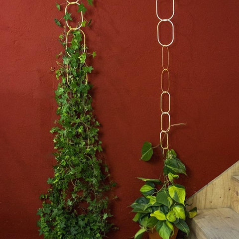 Brass Support for Climbing Plants - Sprouts of Bristol