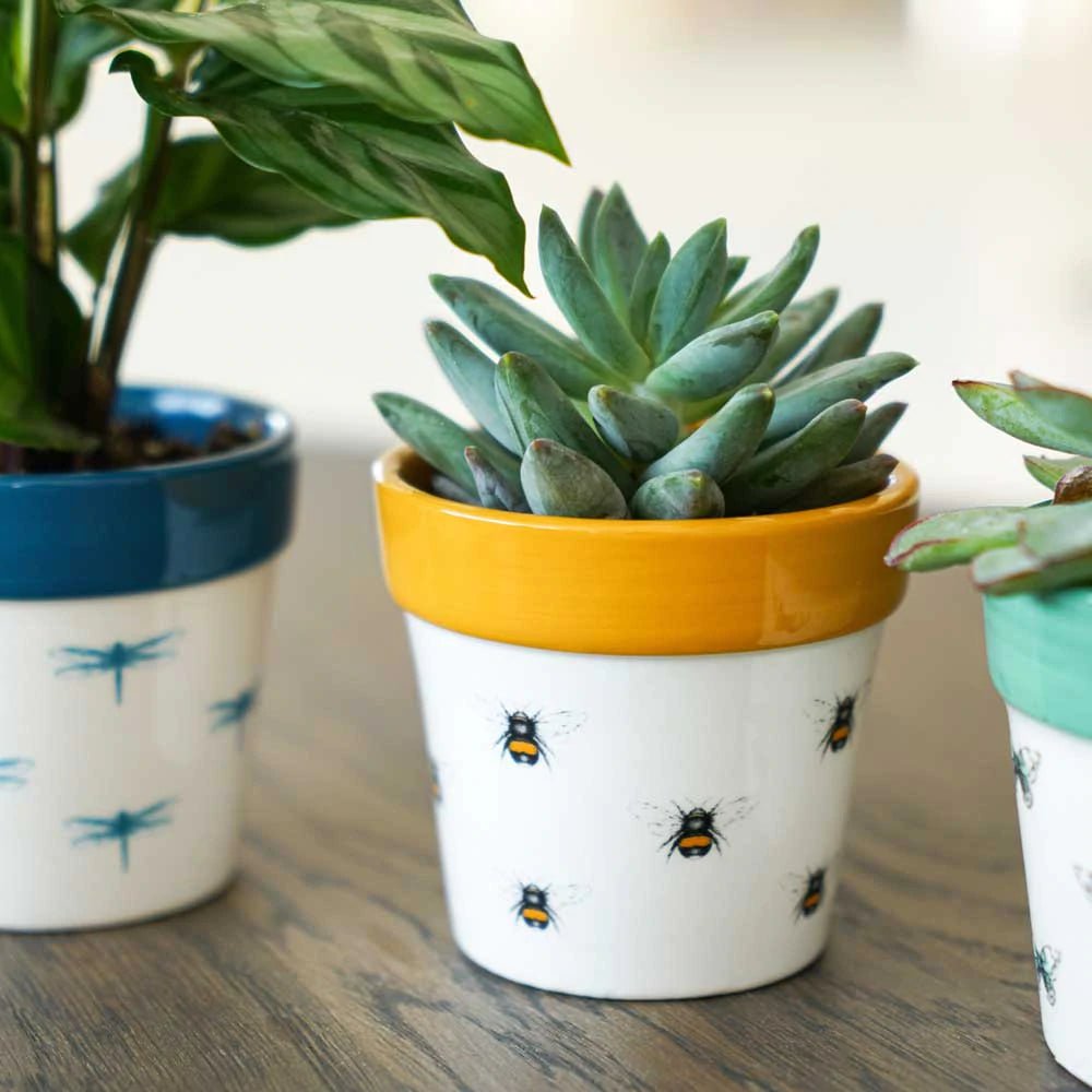 Bumble Bee Planter - Sprouts of Bristol
