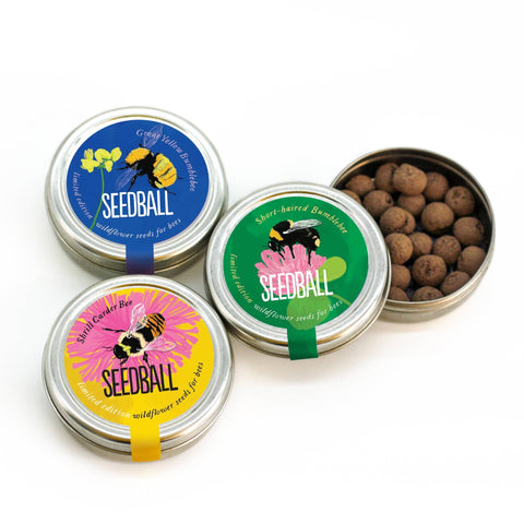 Bumblebee Seedball Wildflower Tins: Blue - Sprouts of Bristol