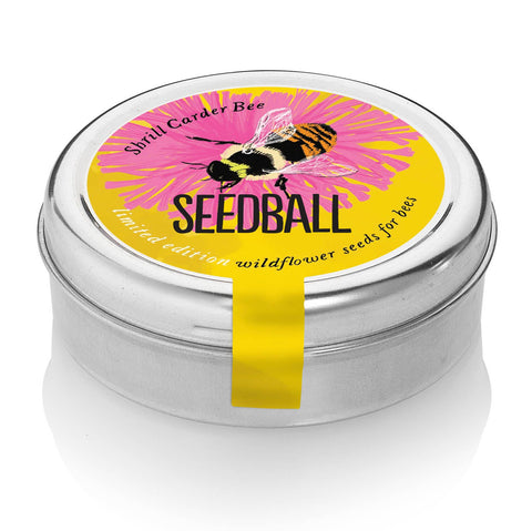 Bumblebee Seedball Wildflower Tins: Yellow - Sprouts of Bristol