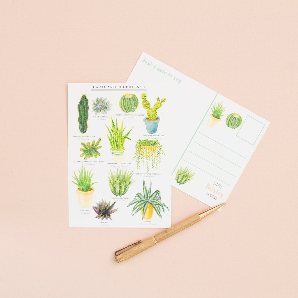 Cacti & Succulent Postcard by Little Paisley Designs - Sprouts of Bristol