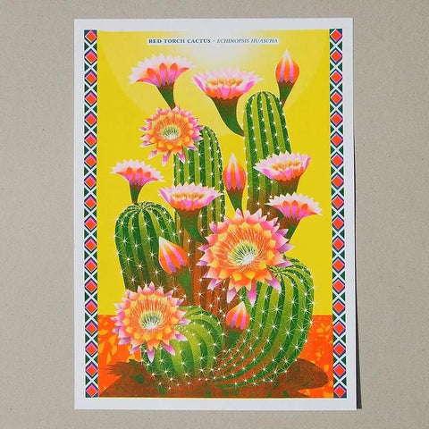 Cactus Risograph Print - Sprouts of Bristol