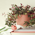 Candy Floss Pink UK Handmade Plant Pot - Sprouts of Bristol