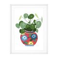 Chinese Money Plant in Botanical Vase A4 Print by Oh So Daisy - Sprouts of Bristol