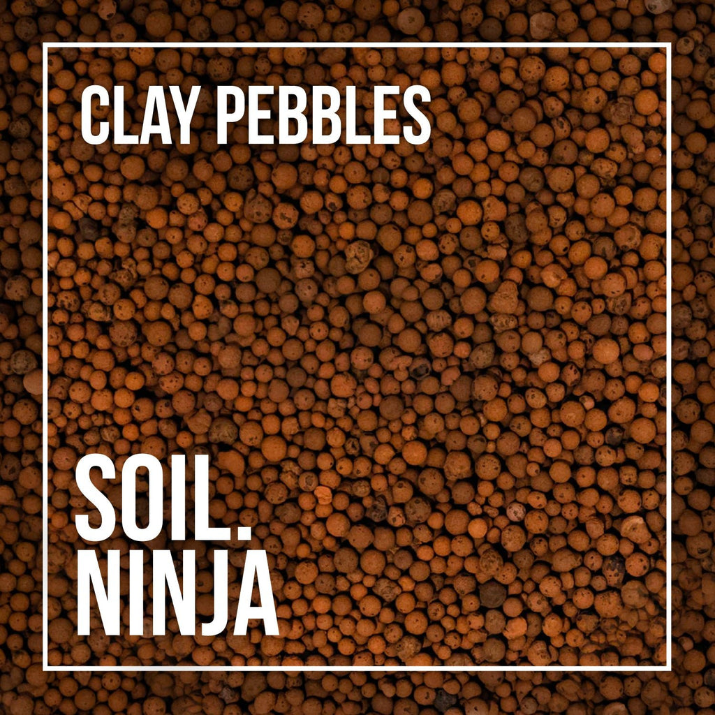 Clay Pebbles - Soil Component - Sprouts of Bristol