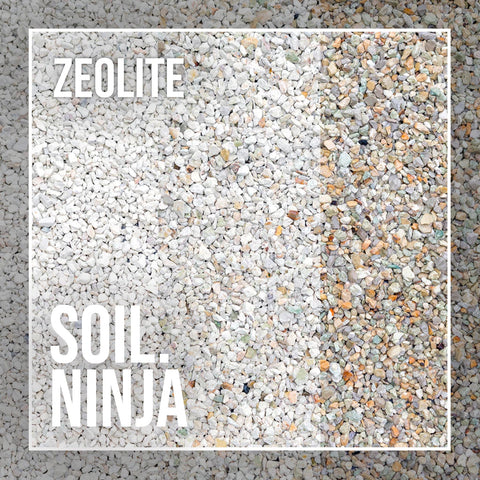 Coarse Zeolite - Soil Component - Sprouts of Bristol