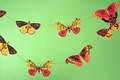 Colourful Butterflies Sewn Garland - Sprouts of Bristol
