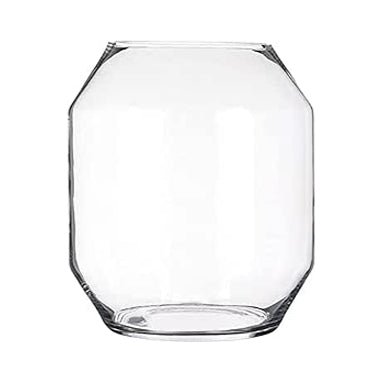 Dali Glass Vessel / Vase [Terrarium Supplies] - Sprouts of Bristol