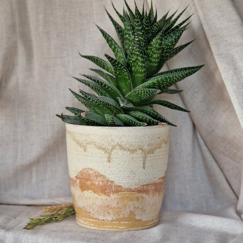 Dunes UK Handmade Plant Pot - Sprouts of Bristol