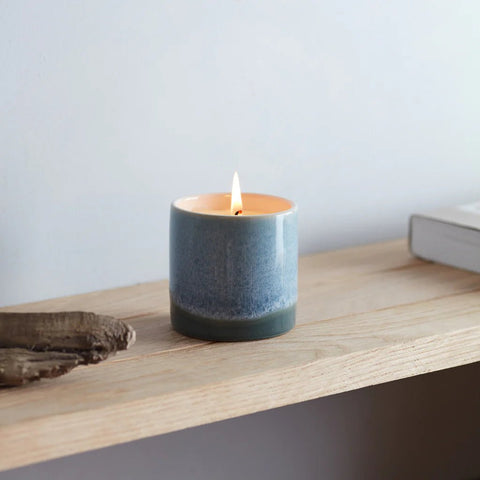 Fig Tree Candle in Blue Sea & Shore Ceramic Pot - Sprouts of Bristol
