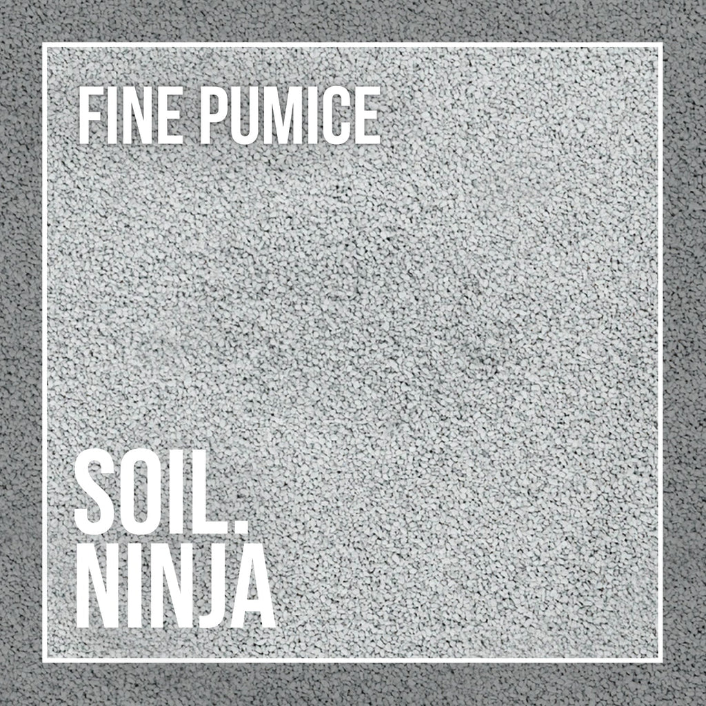 Fine Pumice - Soil Component - Sprouts of Bristol
