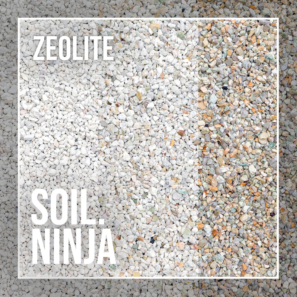 Fine Zeolite - Soil Component - Sprouts of Bristol