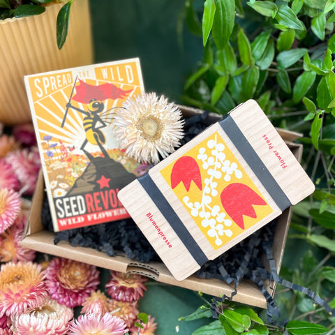 Flower Press and Wildflower Seed Gift Set | Good for Pollinators | UK Brands | Supporting Indies - Sprouts of Bristol