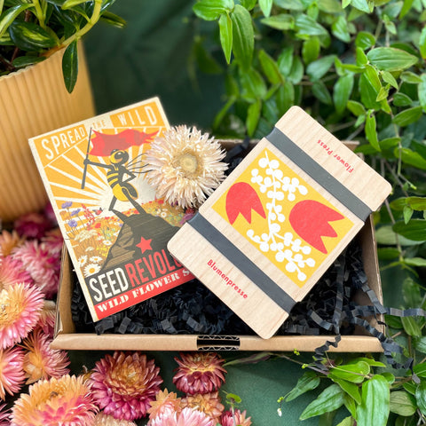 Flower Press and Wildflower Seed Gift Set | Good for Pollinators | UK Brands | Supporting Indies - Sprouts of Bristol