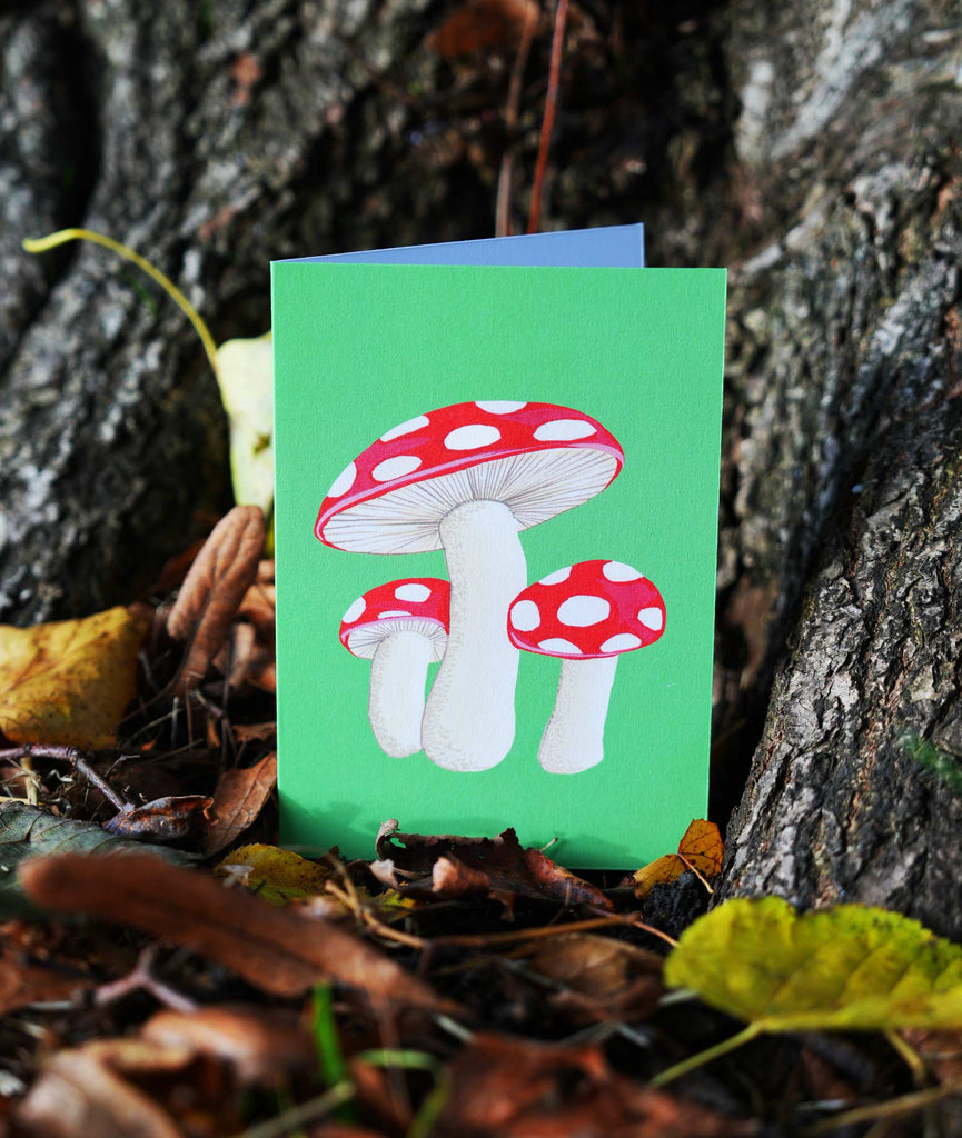 Fly Agaric Fungi Greetings Card - Sprouts of Bristol